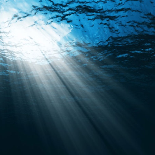 the calling of the ocean essay the calling of the ocean essay