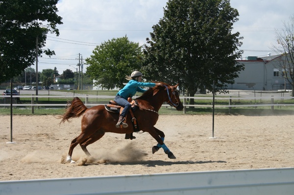 Go horseback riding - Bucket List Ideas