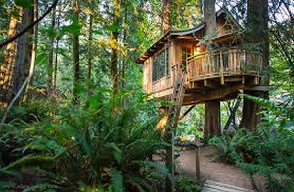 Build a Treehouse - Bucket List Ideas