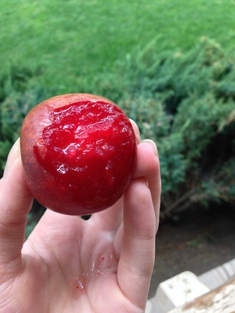 Try 10 new fruits/berries/veggies - Bucket List Ideas