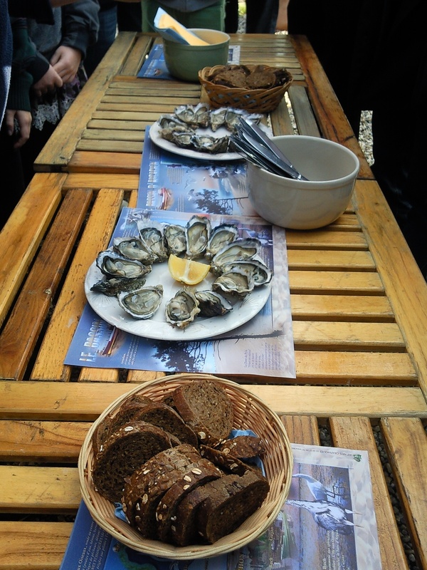 Try oysters - Bucket List Ideas